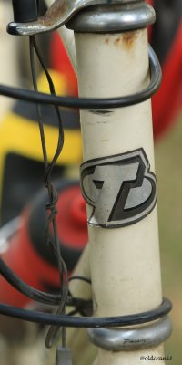 IMG_4810 Trek Headbadge.JPG