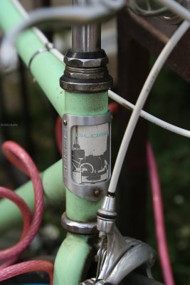 IMG_4898 Gorgeous GLOBE headbadge..likely handstamped.JPG