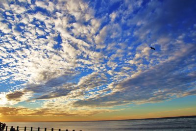 IMG_1292 sunset at La Jolla.JPG