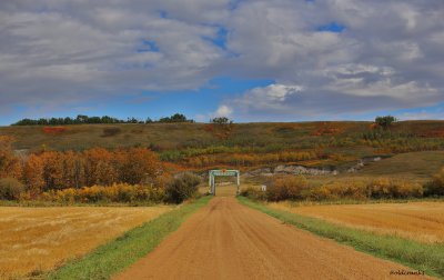 IMG_0570 #wetaskiwn #landscape.JPG