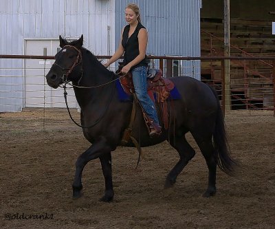 IMG_9683 gymkhana  2014.JPG