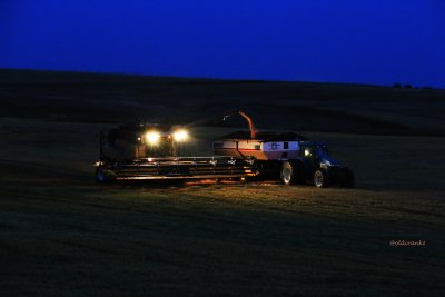 IMG_1730.JPG