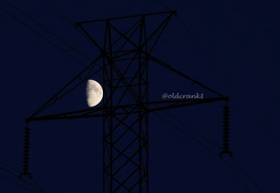 IMG_3233 harvest moon (2)fb harvest time.jpg