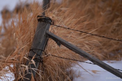 IMG_5818 cornerpost.JPG