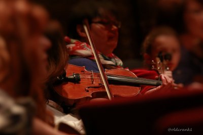 _MG_6768 violin.jpg