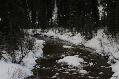 IMG_0101.JPG