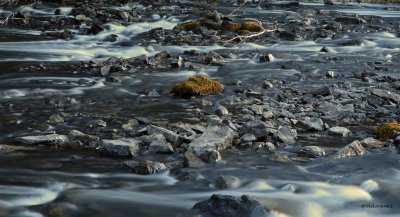 IMG_0261 Beaverdam.JPG