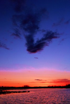 IMG_4106.JPG