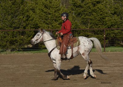 DSC_2140.JPG