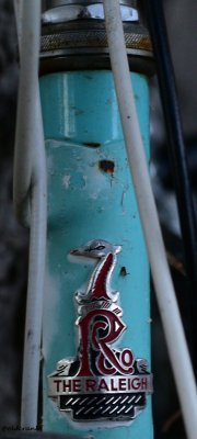 DSC_6332.raleigh head badgeJPG