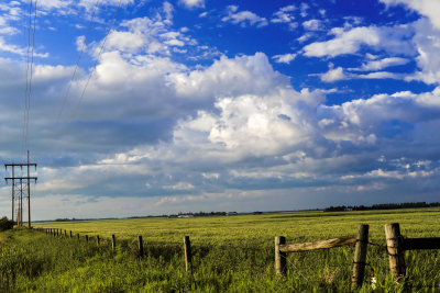 DSC_9021_-landscape.jpg