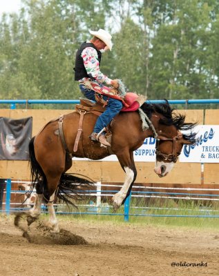 Rodeo pics from central Alberta