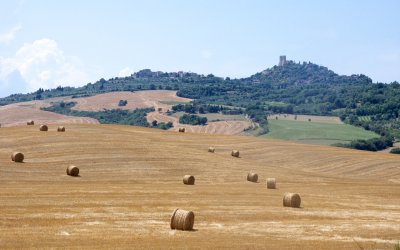 typical Tuscany