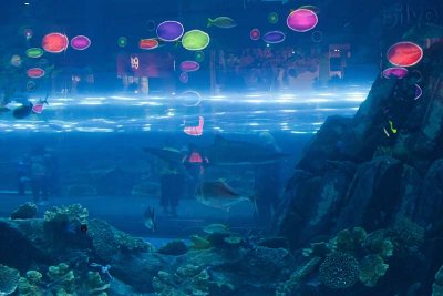 Dubai Mall Aquarium