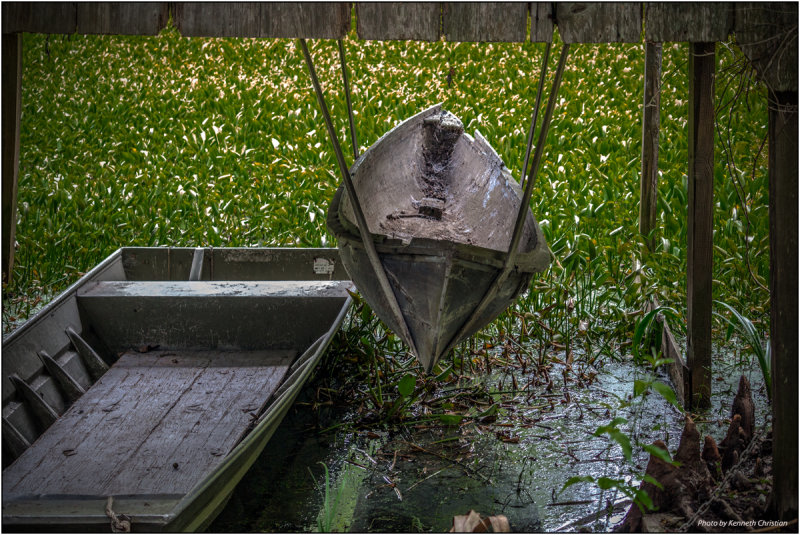 On The Bayou