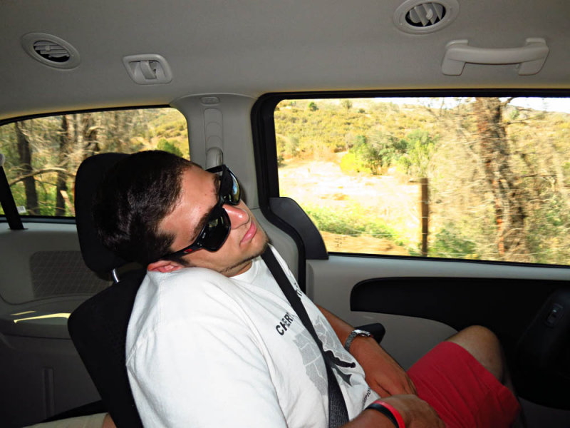 Dom Napping