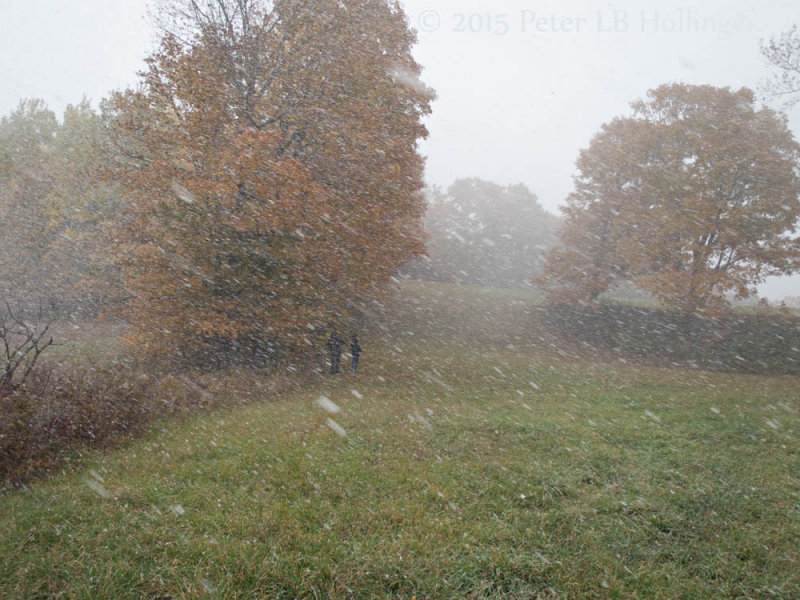 Snow squall by the powerline