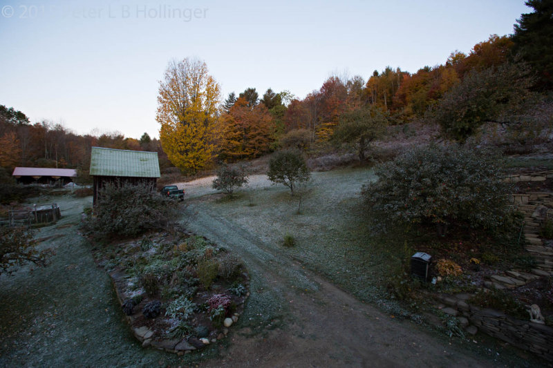 Dusting on the hillside