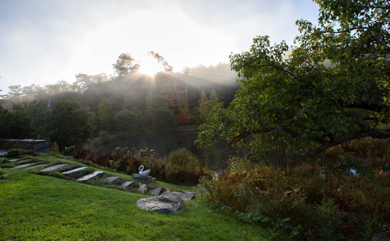 Misty Sunrise