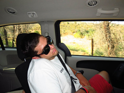 Dom Napping