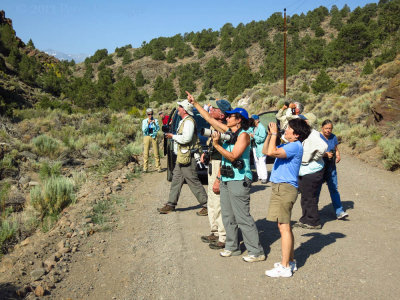 Donna with the Joppa Flats group on the way to Bodie