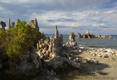 Tufa at Mono Lake