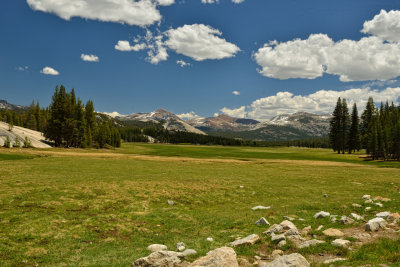 Tuolumne Meadows