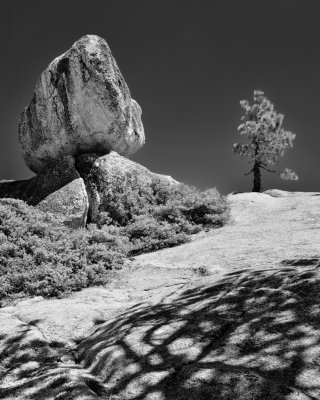 Balanced Rock and Tree - Taft Point