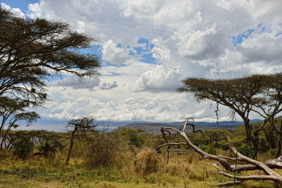 view of Ngorongor Crater from the Mobile tent camp