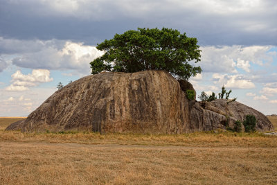 a kopje in the Serengeti