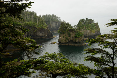 Sea Stacks