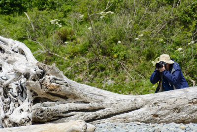 Jim shooting pictures at Ruby Beach