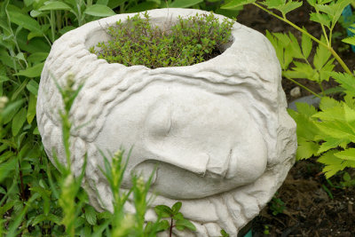 Sleeping maiden planter