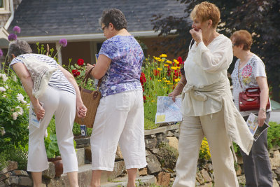 Women viewing garden no. 8
