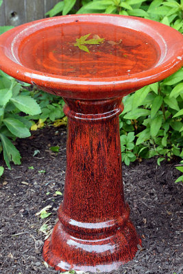 Vermilion bird bath