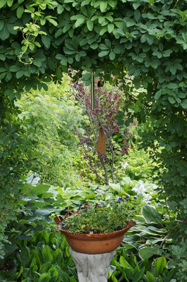View through foliage arch