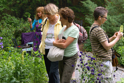 Visitors examining plants