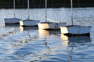 String of sailboats.