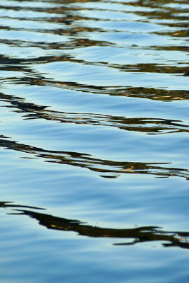 Our wake in the glossy light.