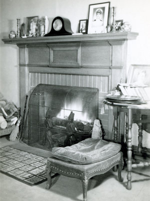 g9/03/449703/3/153867582.sZ0MgSBa.jpg