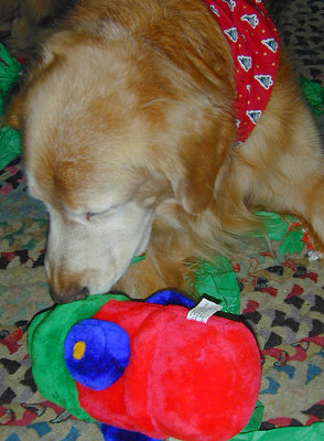 Maggie Cerny with new woobie present at 44 Portsmouth Ave (2001).