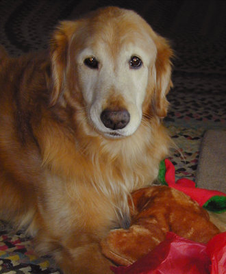 Christmases Past