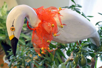 A Christmas egret!