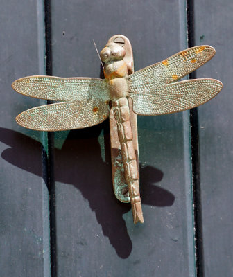 In transit - dragonfly door knocker.