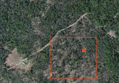 Sugar bush (rectangle) and sugar house (dot) relative to cabins.