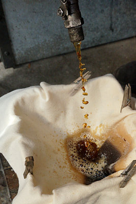 Drawing off and filtering sap that is now syrup.