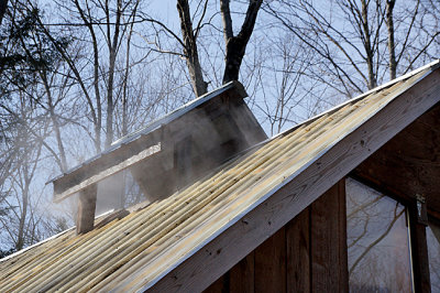 Sugar house vent - exterior.