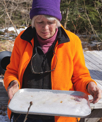 Nancy making maple sugar taffy (candy) on snow.