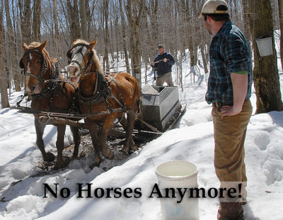 No horses anymore!