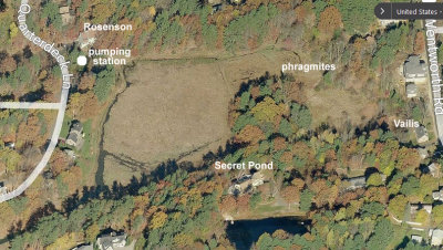 Lavenger - upper creek labels
